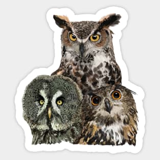 Owls Sticker